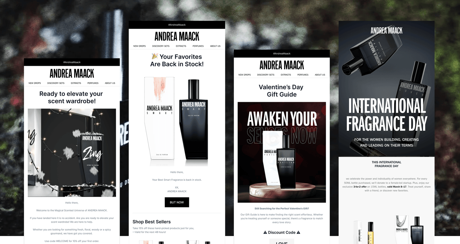 Andrea Maack Shopify case study, image 3