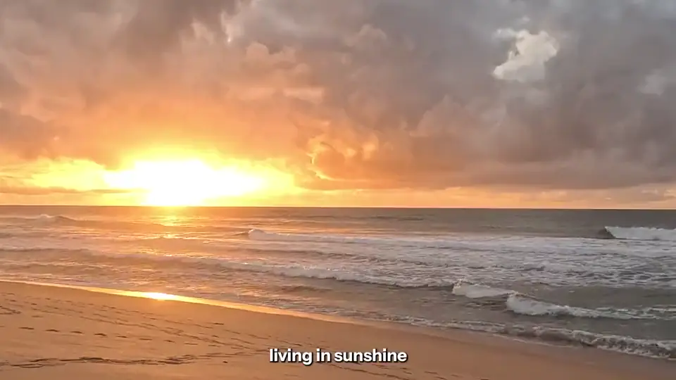 Living in Sunshine campaign work, the email flows and segmentation we built