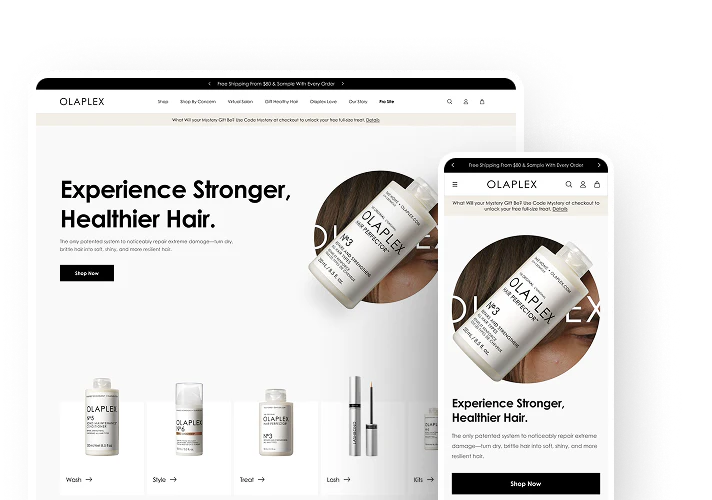 Luxury Accessories Implementation Shopify B2B case study