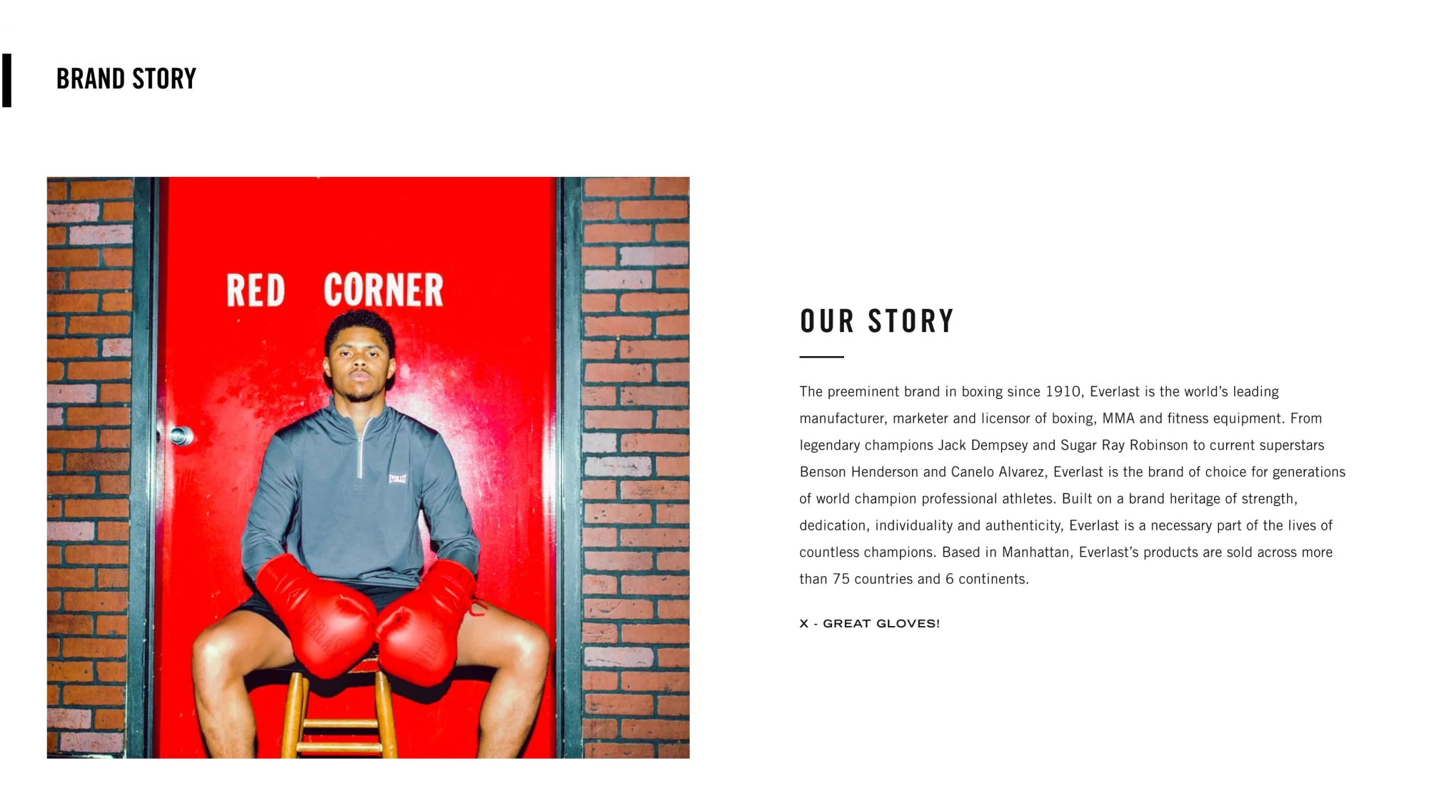 Shopify brand identity sample: typography and logo system