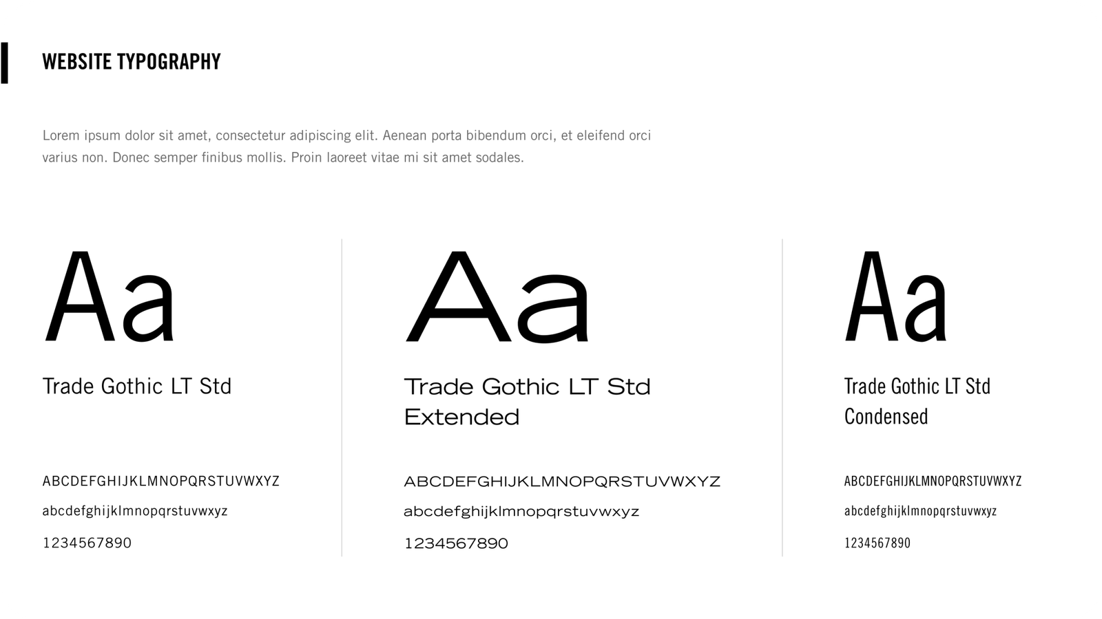 Shopify brand identity sample: color palette and brand guidelines